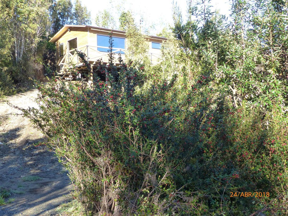 Cabanas Latitud 41 Sur Quillaipe Exterior photo